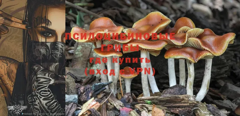 Галлюциногенные грибы Magic Shrooms  darknet состав  Кропоткин 